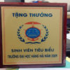 bảng vinh danh gỗ đồng mã số 002