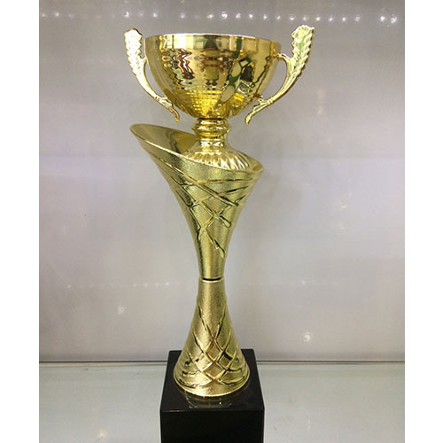 cúp đồng hg1122
