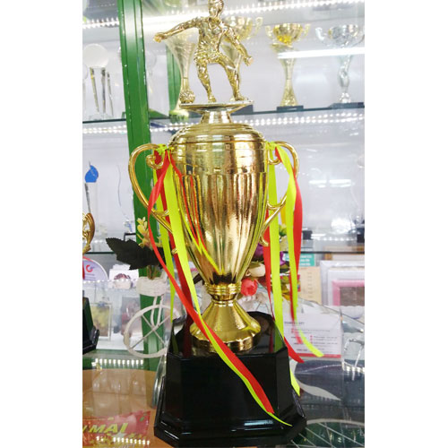 Cúp kim loại HG004