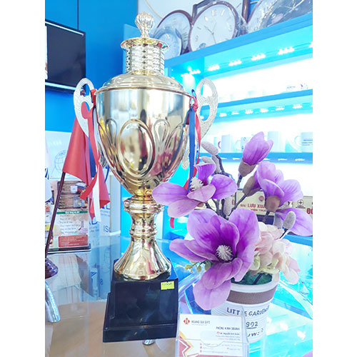 Cúp kim loại HG1513