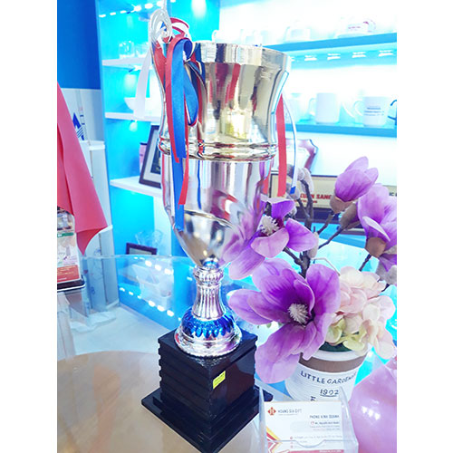 Cúp kim loại HG1514 giá rẻ