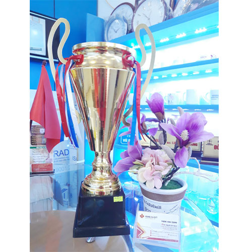 Cúp kim loại HG1515