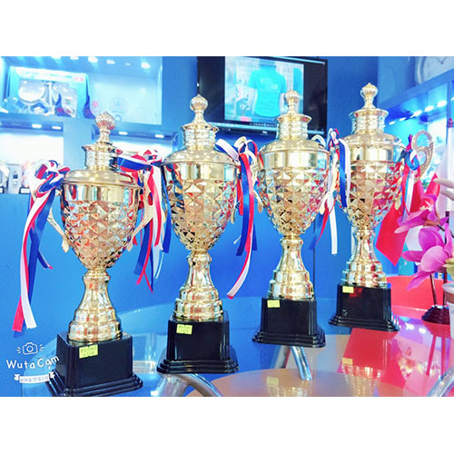 Cúp kim loại HG1516