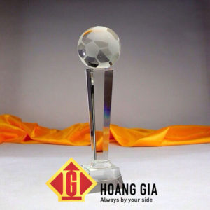 cup phale hg020