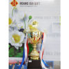 Cúp kim loại HG1001