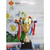 Cúp kim loại HG1001B