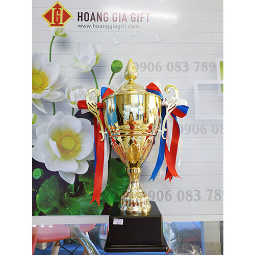 Cúp kim loại HG1001B