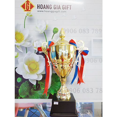 Cúp kim loại HG1001B(2)