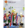 Cúp kim loại HG1004ABC