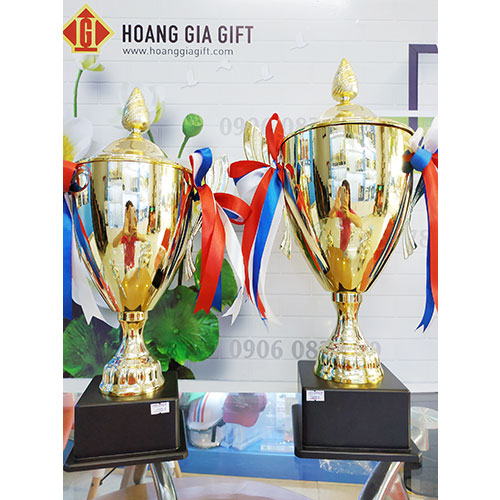 Cúp kim loại HG1006