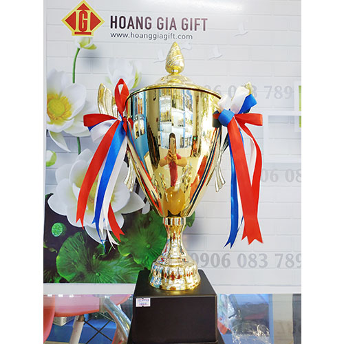 Cúp kim loại HG1006A