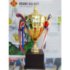 Cúp kim loại HG1517