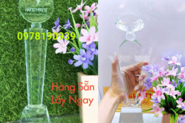lưu ý khi đặt cúp phale làm quà lưu niệm