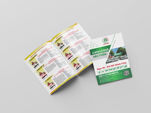 In catalogue giá rẻ Hải Phòng